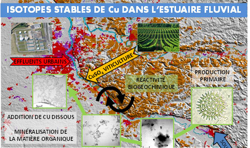 Isotopes de Cu